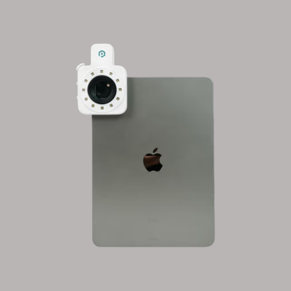 GemSparkle - Image 6