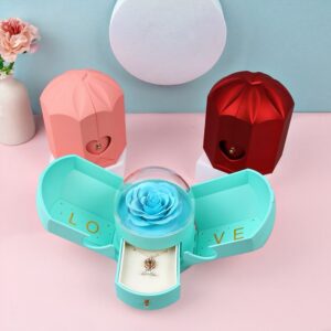 Angel Wings Rose Box