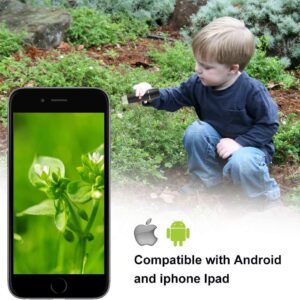 Wireless Digital Microscope Pocket Handheld USB & WiFi Microscope