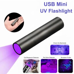 Rechargeable UV Torch Light