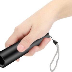 Rechargeable UV Torch Light