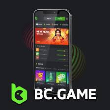 Understanding the BC Game Customer Support Team Excellence in Service