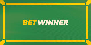 BetWinner in Egypt A Comprehensive Overview