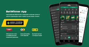 Discover the Thrill of Betting with BetWinner Sportsbook