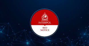Understanding the Role of Interpol Defense Lawyers 1341306754 Understanding the Role of Interpol Defense Lawyers 1341306754