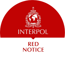Understanding the Role of Interpol Defense Lawyers 1341306754 Understanding the Role of Interpol Defense Lawyers 1341306754